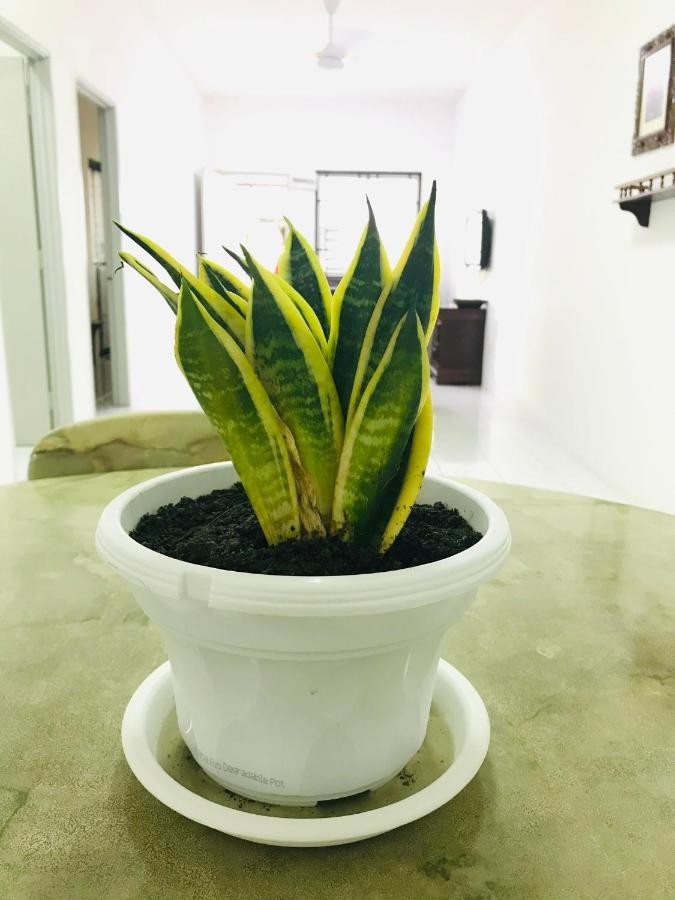 Alyn Home Batu Pahat II Wifi Coway Mohd Noor エクステリア 写真